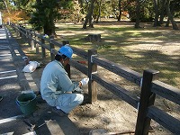 ギ木柵点検・修繕状況 (2)