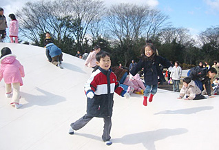 国営木曽川公園　三派川地区センタ