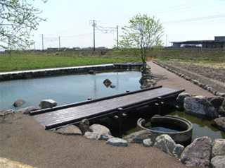 矢道ハリヨの池広場
