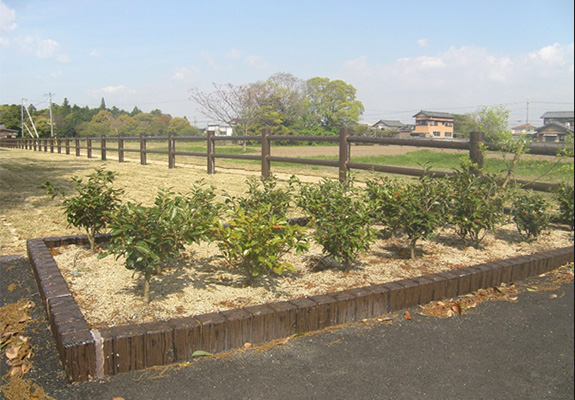 下園東区画広場（いつきのみや）