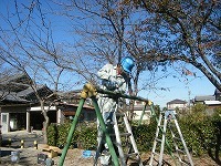 ブランコ点検・修繕状況