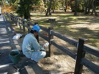 ギ木柵点検・修繕状況